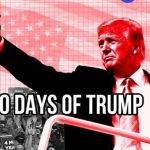 crypto trump